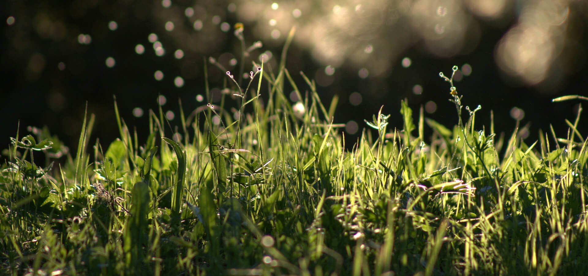 A World Enriched by Purity and Quality